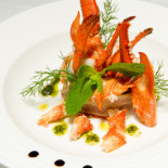 Phoebus Cibo