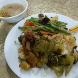 Thuy Cibo
