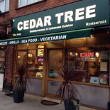Cedar Tree Esterno