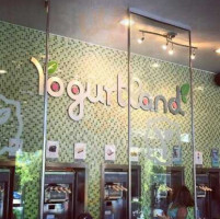 Yogurtland food