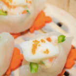 Dragon Beaux Cibo