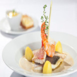 Oliv Cibo