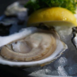 Taylor Shellfish Cibo