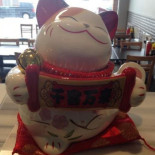 Wok 49 Cibo