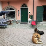 Commercio outside