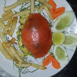 Misha Cibo