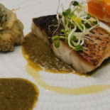 Cuinant Cibo