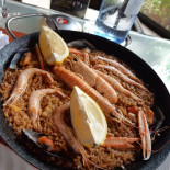 Migaea Cibo