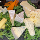 Gekos Cibo