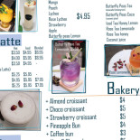 Sweeteria Cibo