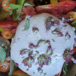 Locafé Cibo