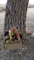 Albergue Santuario De Monegros, Leciñena outside