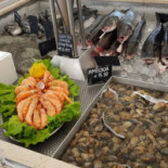 Bicho Dagua Cibo