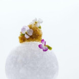 Alinea Cibo