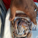 Kyle Donuts Cibo