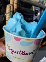 Yogurtland food