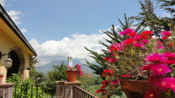 Agriturismo Fattoria Torone inside