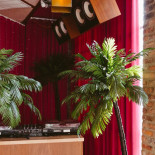 Estereo Cibo