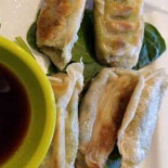 Vegreen Fusion Cibo