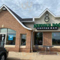 Nervous Dog Coffee Akron inside