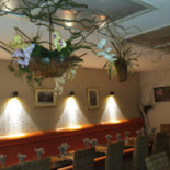Tiparothaï Cibo