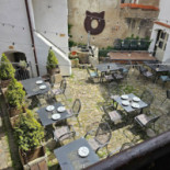 Kocour Cibo