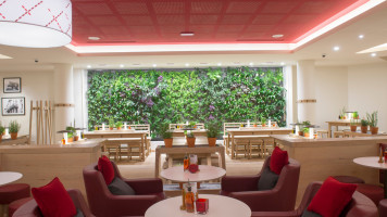 Vapiano food