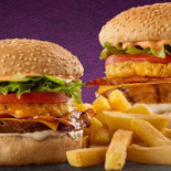 Steers Cibo