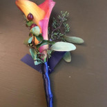 Creative Edge Designs Cibo
