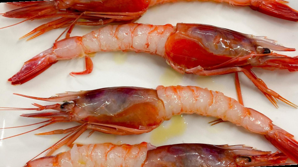 Oro Exclusive (essenza Anzio Food