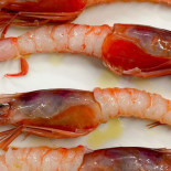 Oro Exclusive (essenza Anzio Food