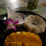 Pine Tree Cibo