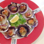 Licar Cibo