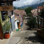 Bambu Esterno
