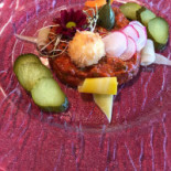 Maximo Cibo