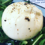 Malabida Cibo