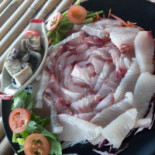 หมึกหอมเกยตื้นฉะเชิงเทรา Cibo