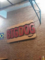 Big Dog food