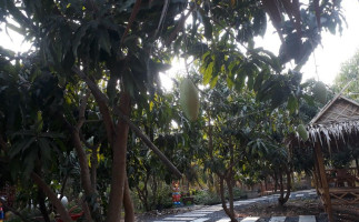 สวนลุงกบ Cafe Esterno