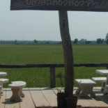 ปลายคลอง สองข้าว Dentro