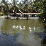 ร้านอาหารน้องนุช Cibo