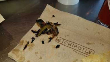 Chipotle Mexican Grill food