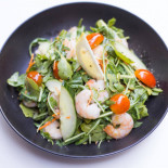 Firefly Cibo