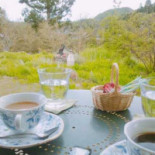 アリスの Tíng Cibo