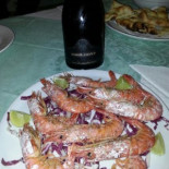 Luna Cibo