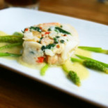 Freustil Cibo