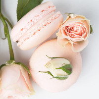 Olivia Macaron food