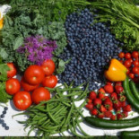 March Farm Cibo