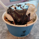 Van Leeuwen Ice Cream food