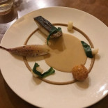 Hayward's Cibo
